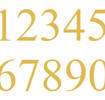 Gold-Reflective-Vinyl-Numbers.jpg